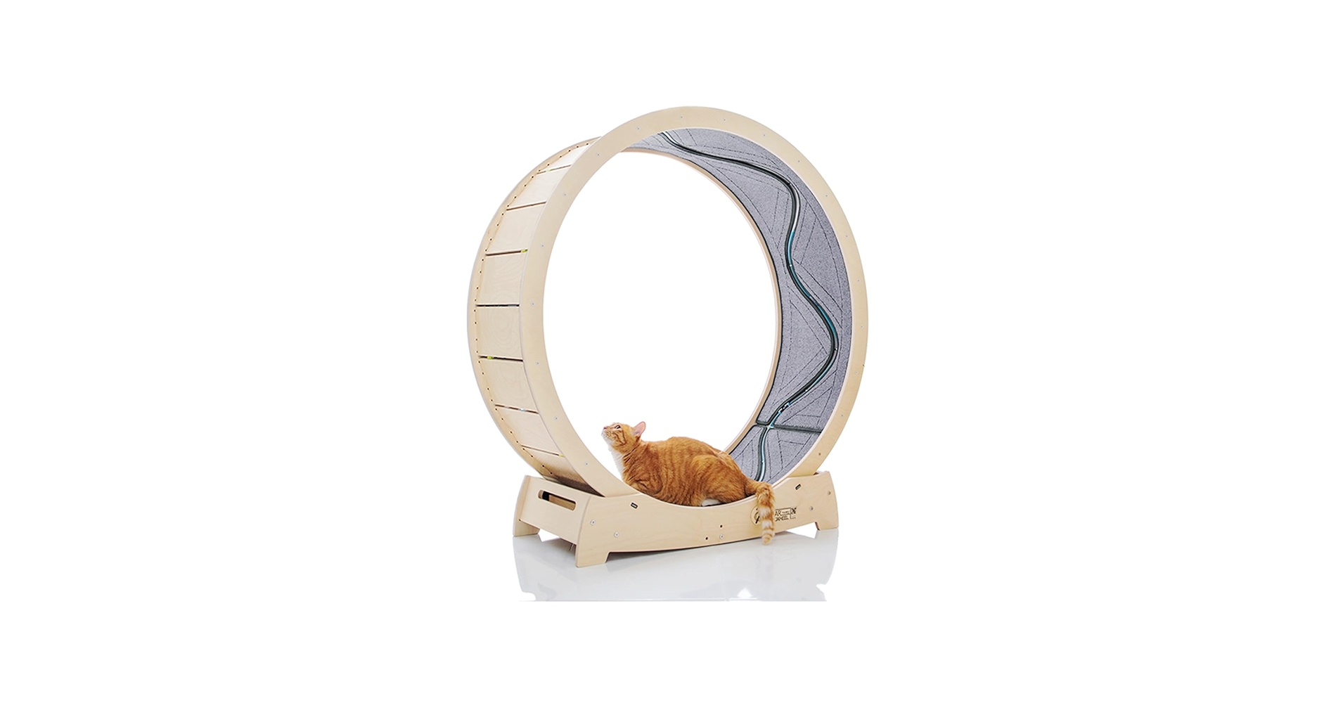 STAR CATWHEEL キャットホイール Lサイズ Amazon.com : Star Cat Wheel, Cat Treadmill, Exercise Wheel